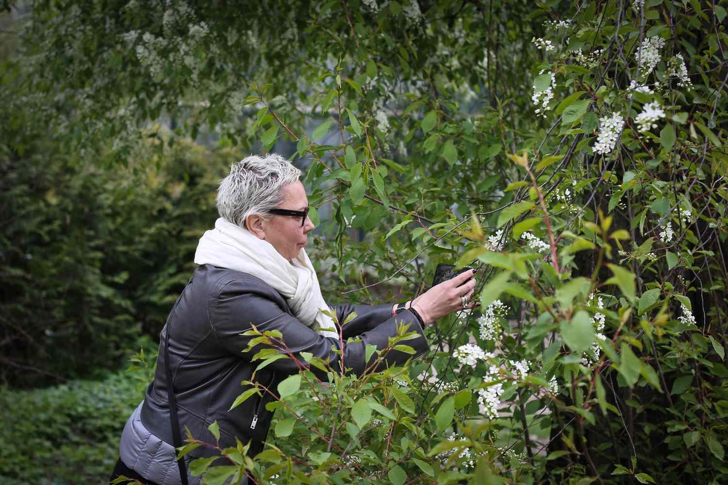 Leafsnap Is an App That Identifies Crops of All Kinds