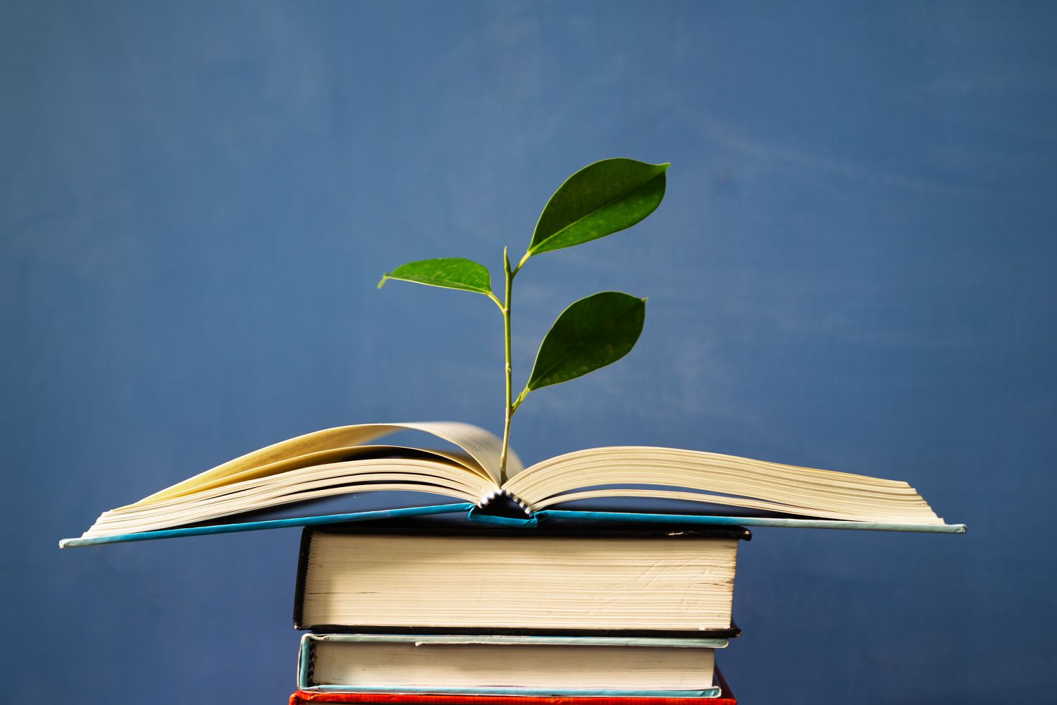 10 Ought to-Be taught Environmental Books