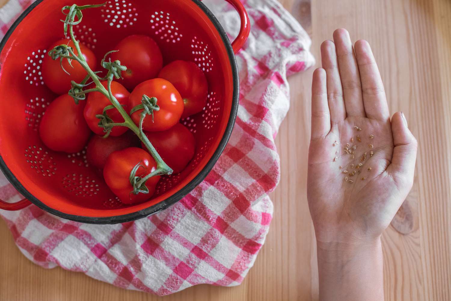 One of the simplest ways to Save Tomato Seeds: Step-by-Step Instructions